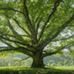 Meet your Posher, Elijah